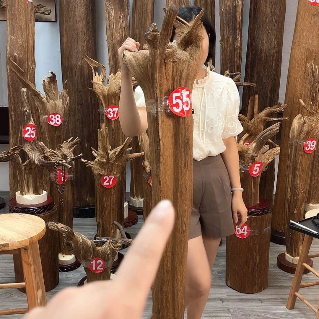 沉香碎屑沉香华****林沉香碎屑