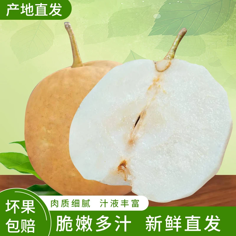 正宗皖南皇冠梨新鲜现摘现发脆甜多汁当季水果