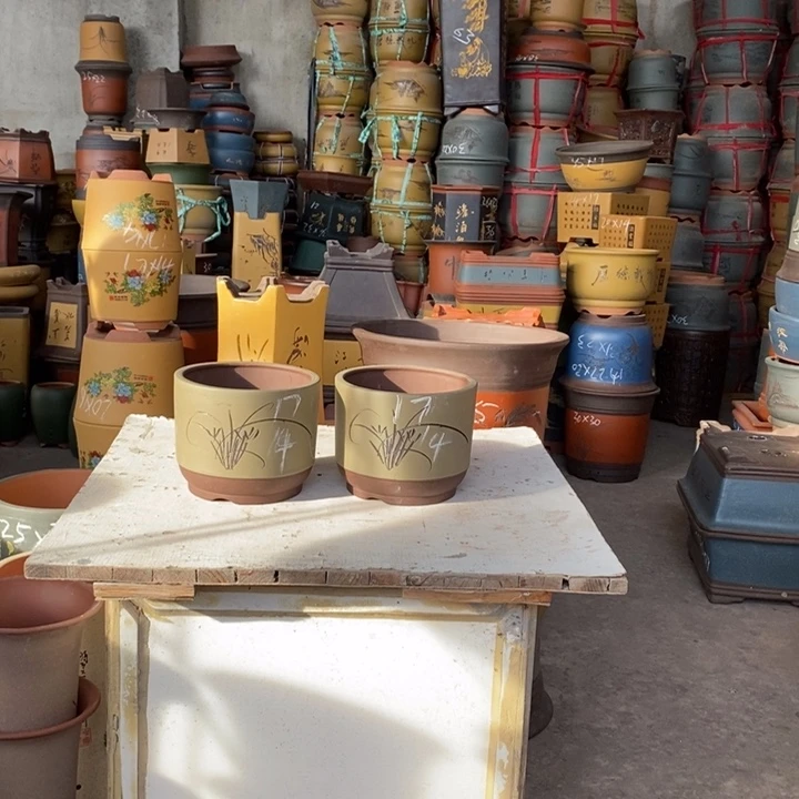 紫砂花盆盆栽花卉苗木种植