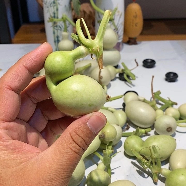 星*精品葫芦手把葫芦50