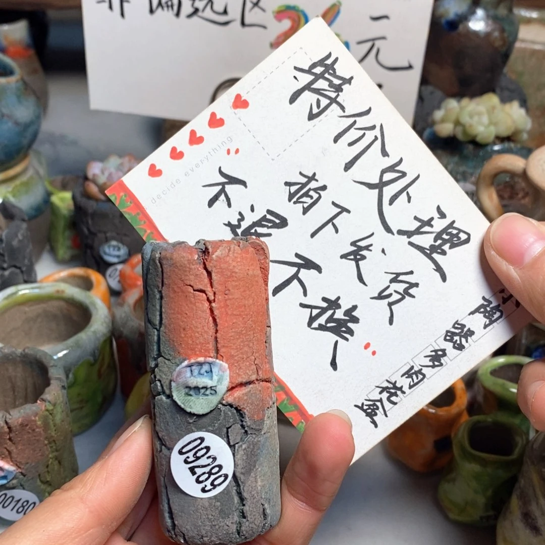 特价花盆不退换的，原价28元