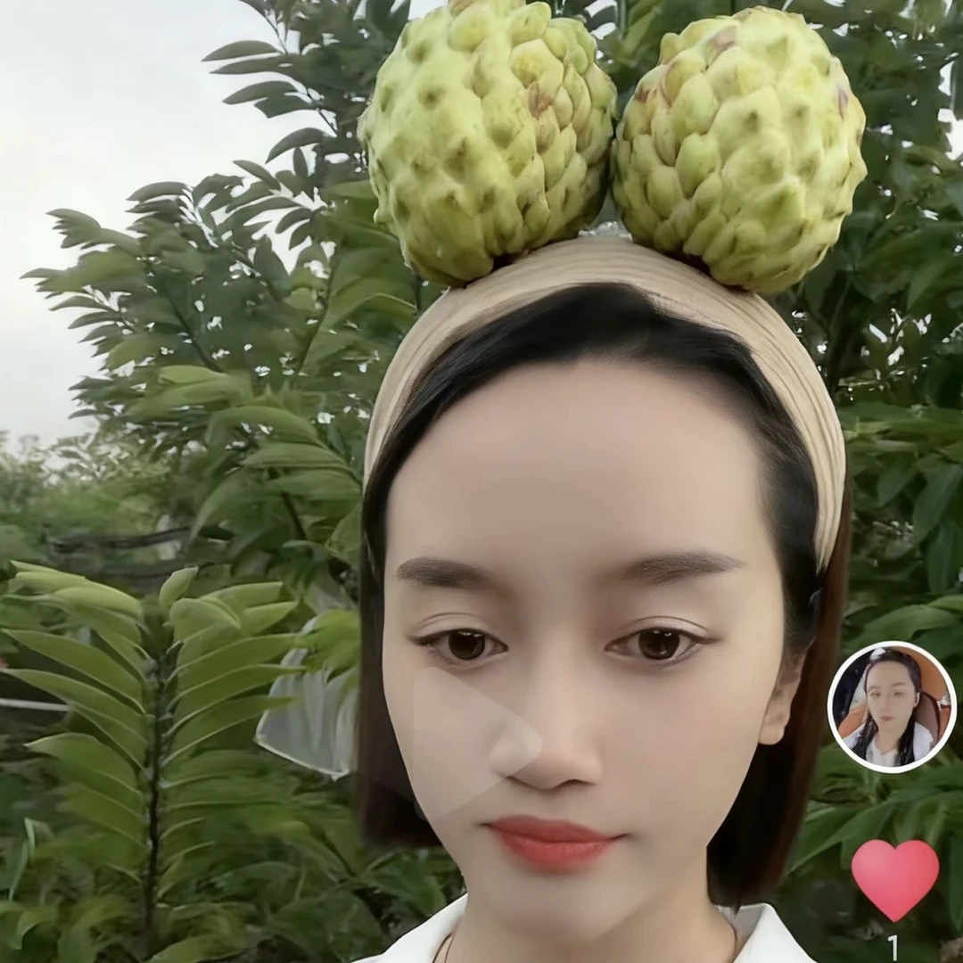 钱玲［精品大果2号］澄海潮汕正宗樟林林檎软糯香甜口感新鲜摘［8粒］