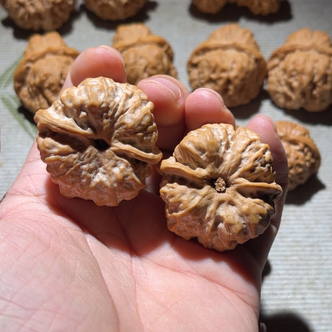 向***葵吊坠文玩核桃40边肚昌平蛤蟆头直播间