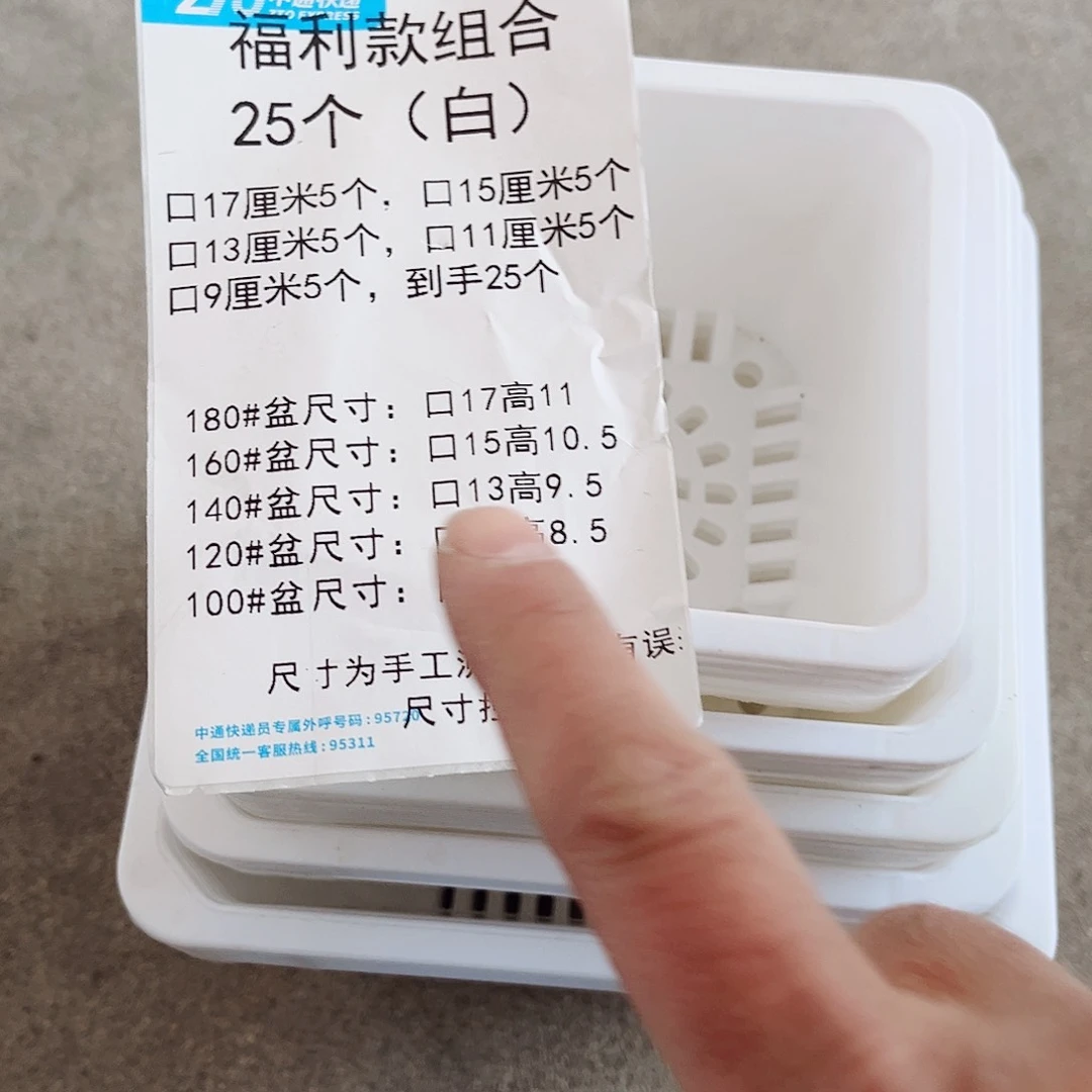 树脂福利款组合装25个白色无托