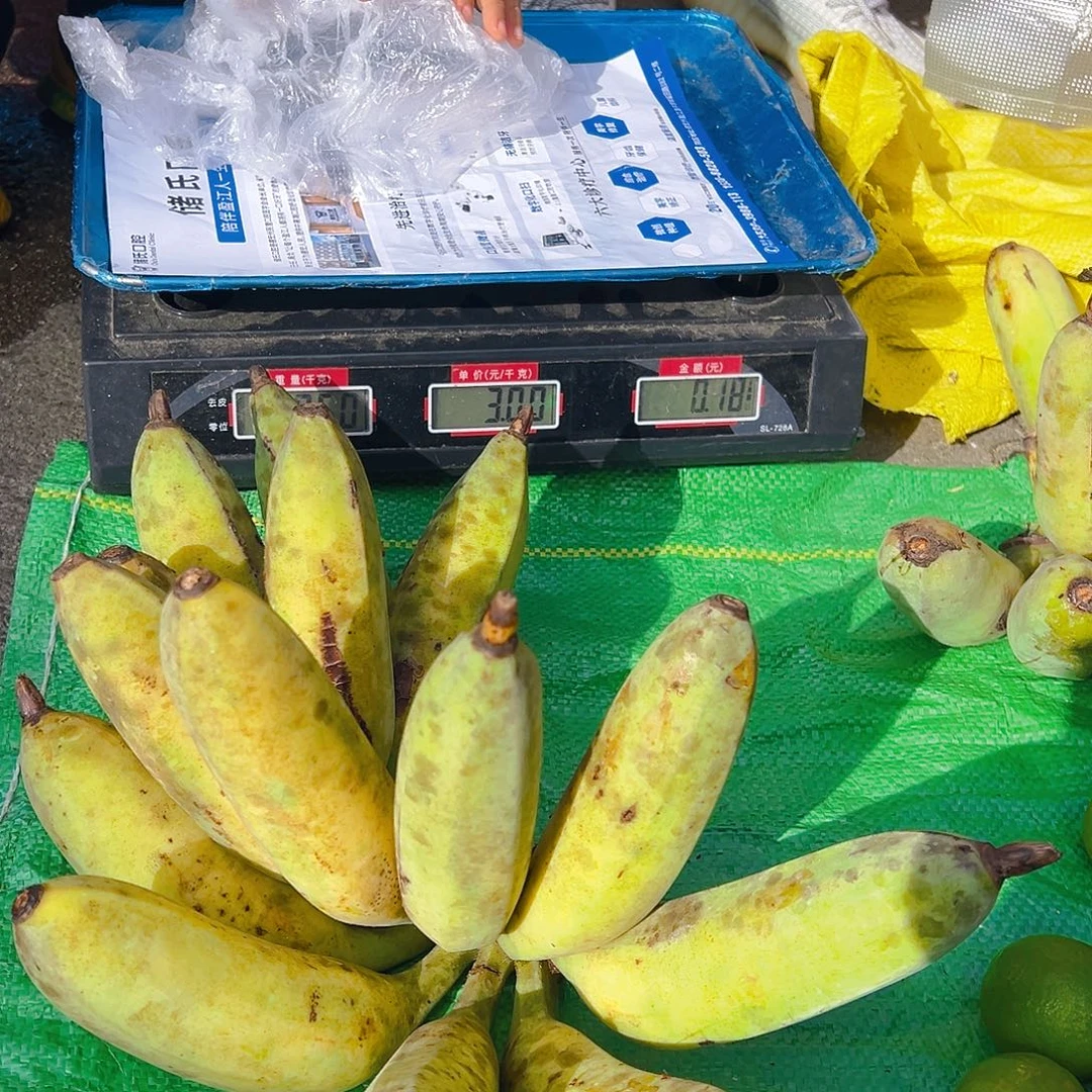 中国大陆农家芭蕉