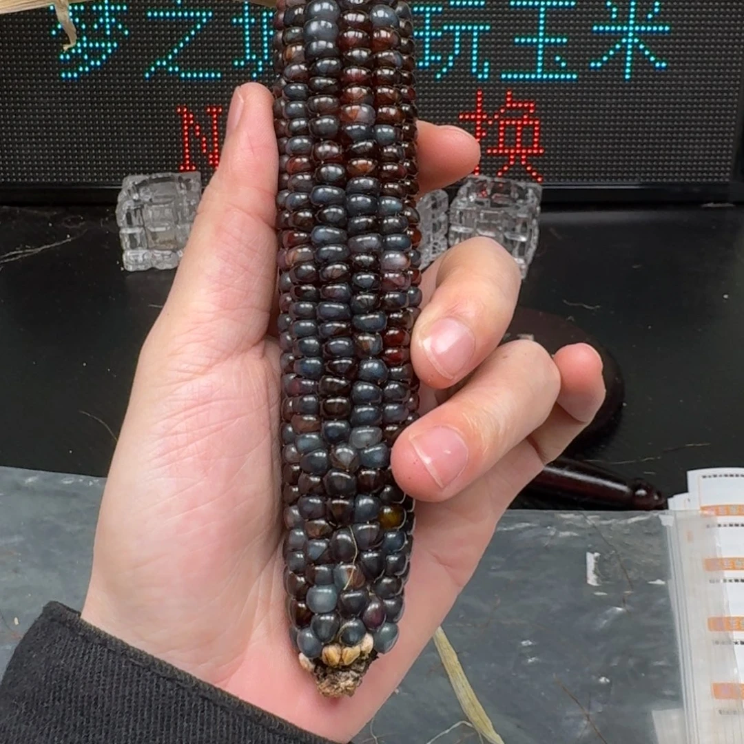 柏香籽/百香籽吊坠心*-