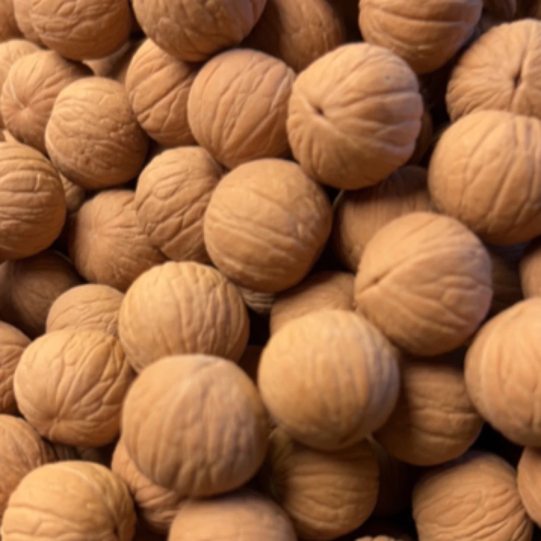 老树籽聚宝盆手串原料50颗 不打底不打孔 尺寸17 18