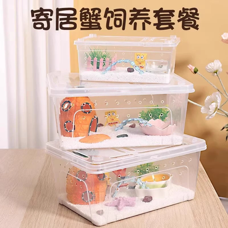 寄居蟹饲养箱套装宠物寄居蟹饲养盒小螃蟹缸儿童节礼物套餐小豆丁