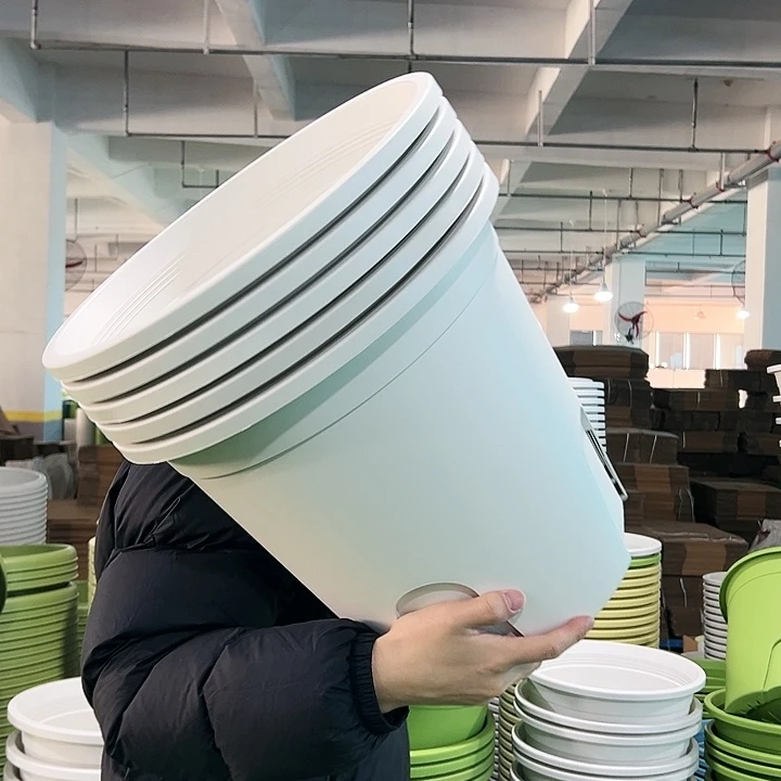 正品圆控口37.5高34白色无托5只