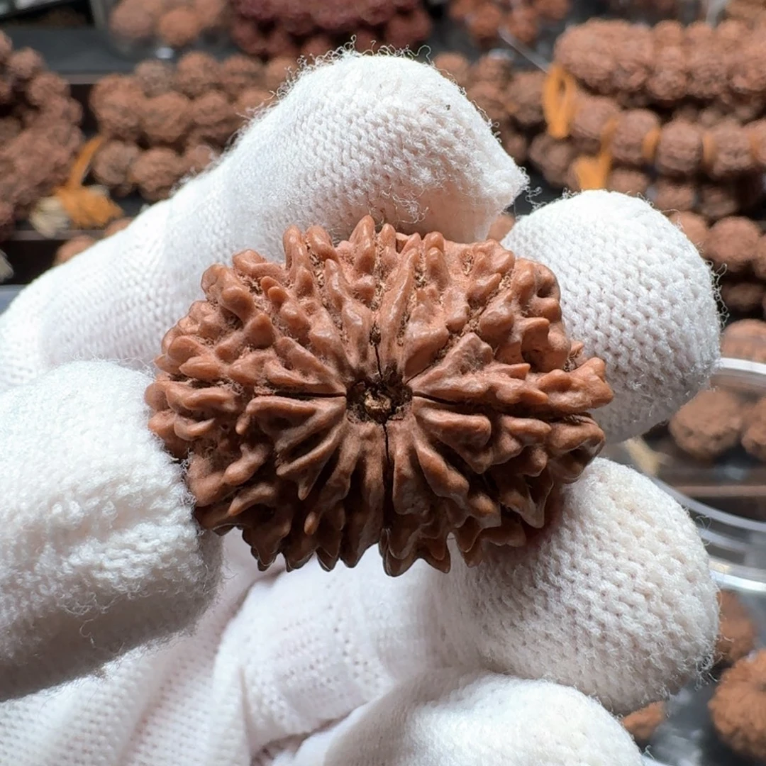 金刚菩提手串R****E31十三瓣单颗