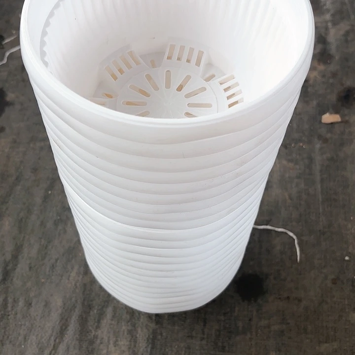 180白色聚宝盆16公分20个