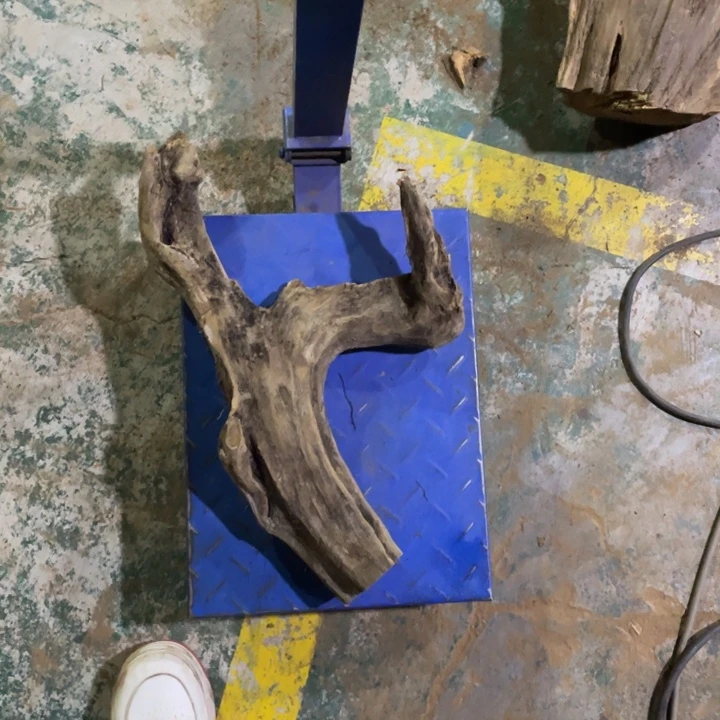 瞎***闹木直播间一物一图