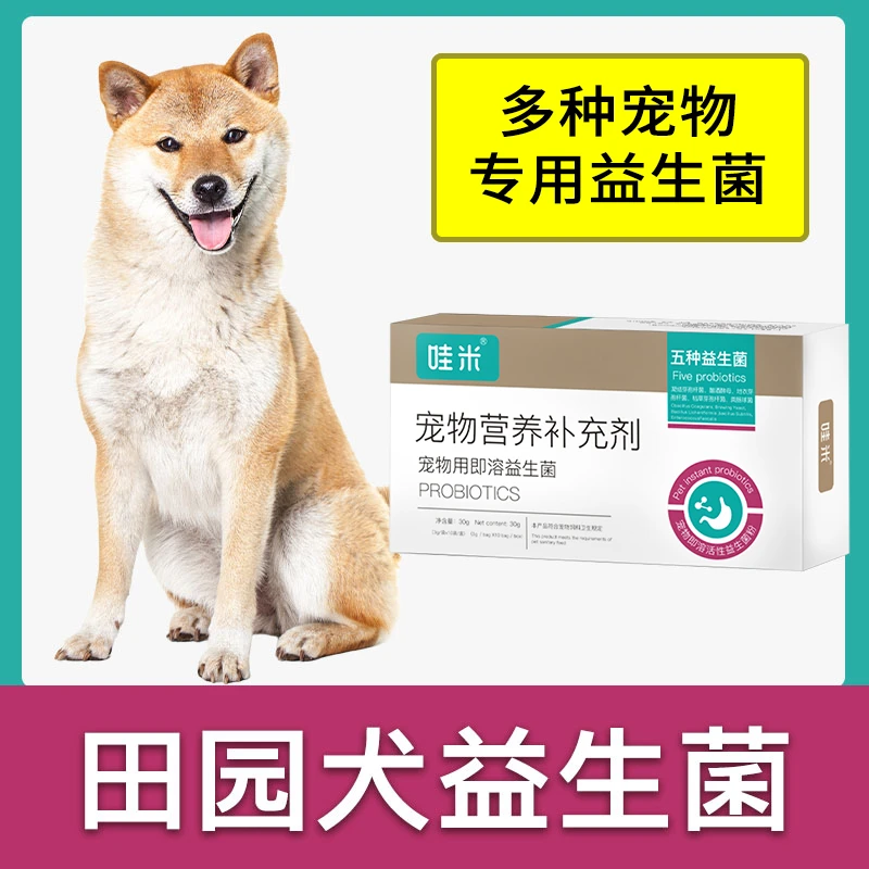 中华田园犬土狗益生菌粉成幼犬用狗狗宠物即溶肠胃宝肠道消化宝