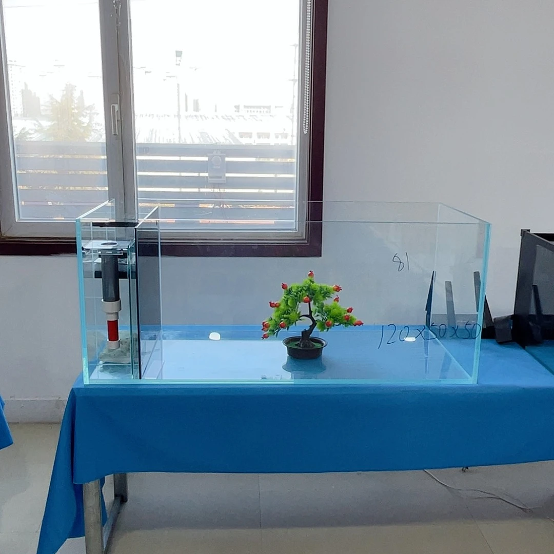 玻璃随*1205050侧滤鱼马桶玻璃盖