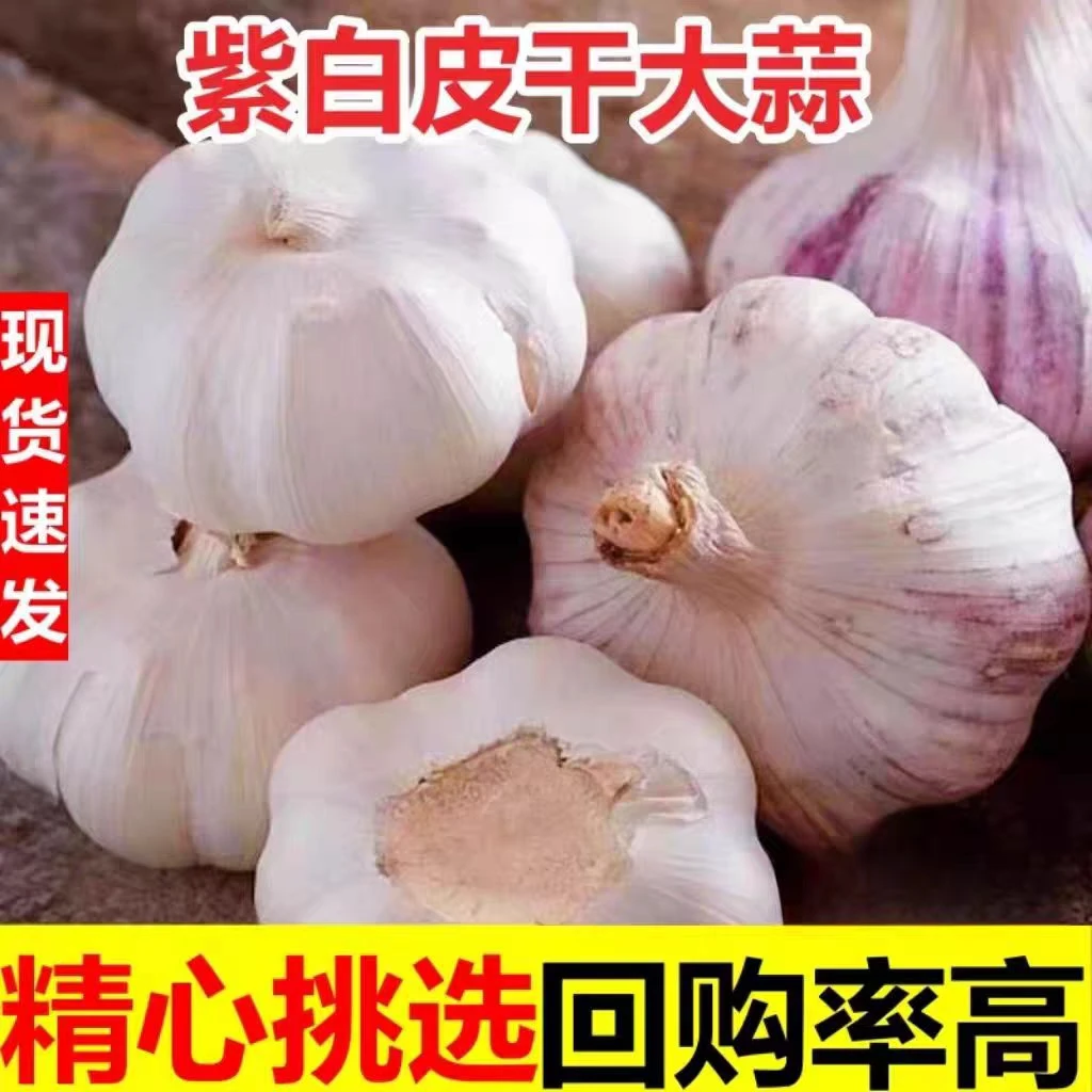 金乡大蒜新鲜10斤干大蒜2025当季蔬菜紫白皮优质蒜