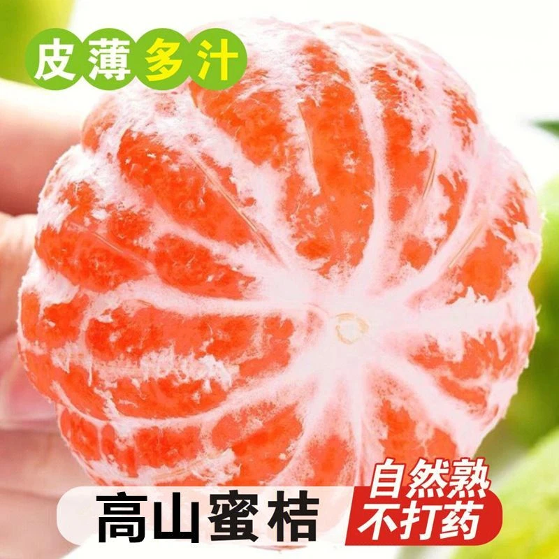 树上自然熟青皮蜜桔应季新鲜酸甜水果