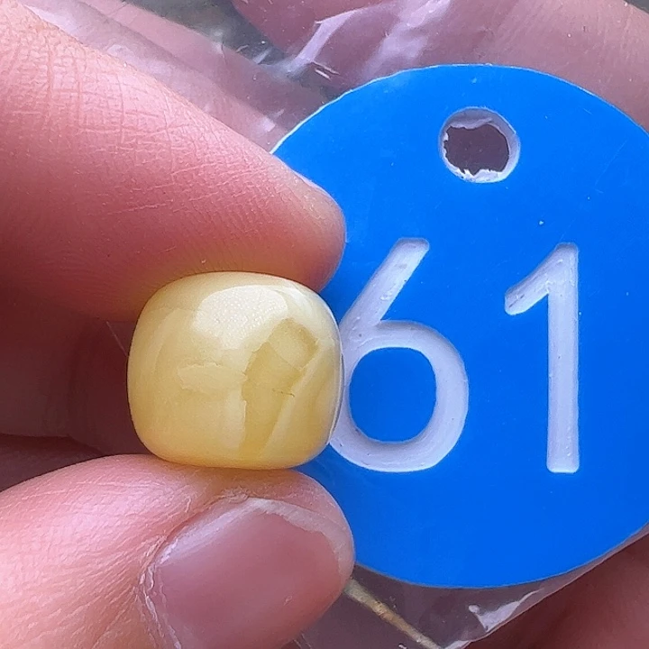 蜜蜡裸石未镶嵌花粉11.8m m