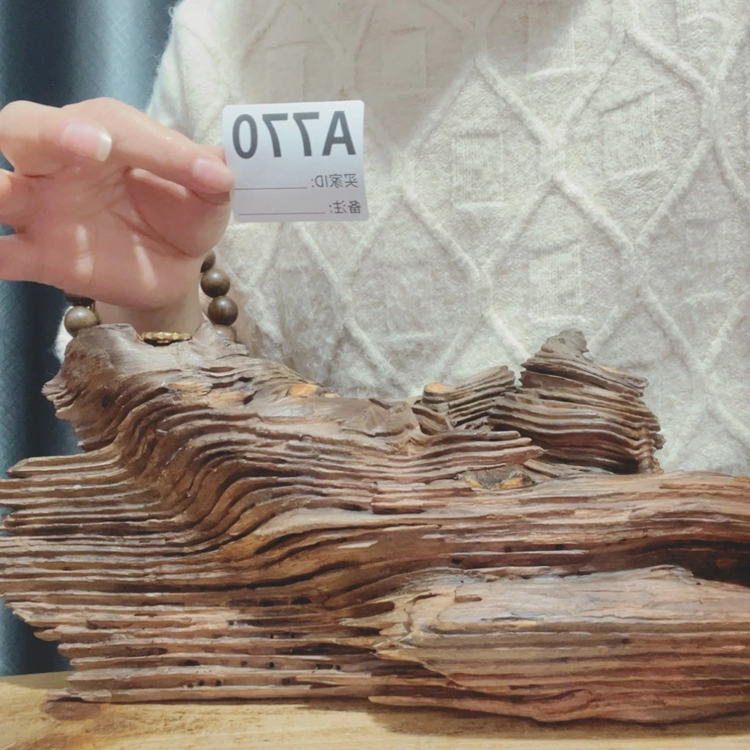 铁*百年树的生长环境