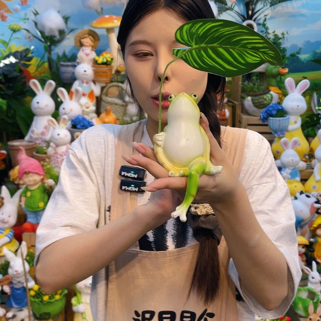 无花朵花园摆件装饰设计