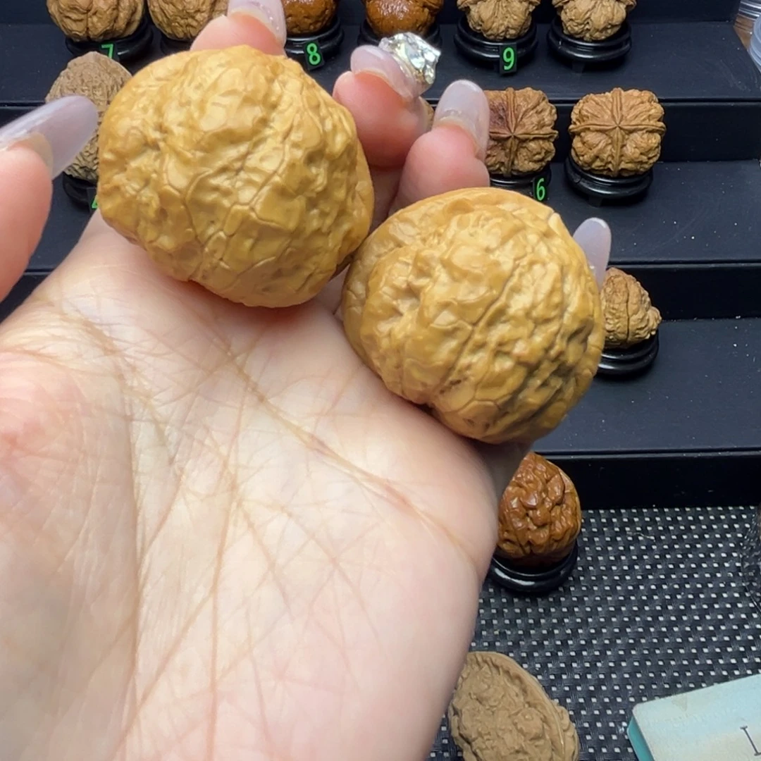 文玩核桃把件帝王蟾