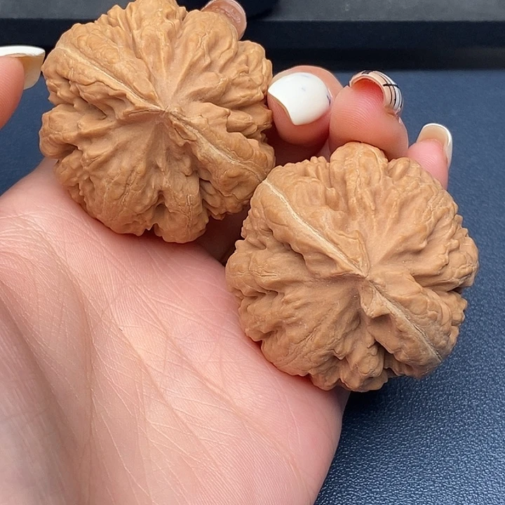 时***好霸王龙全品无刀休