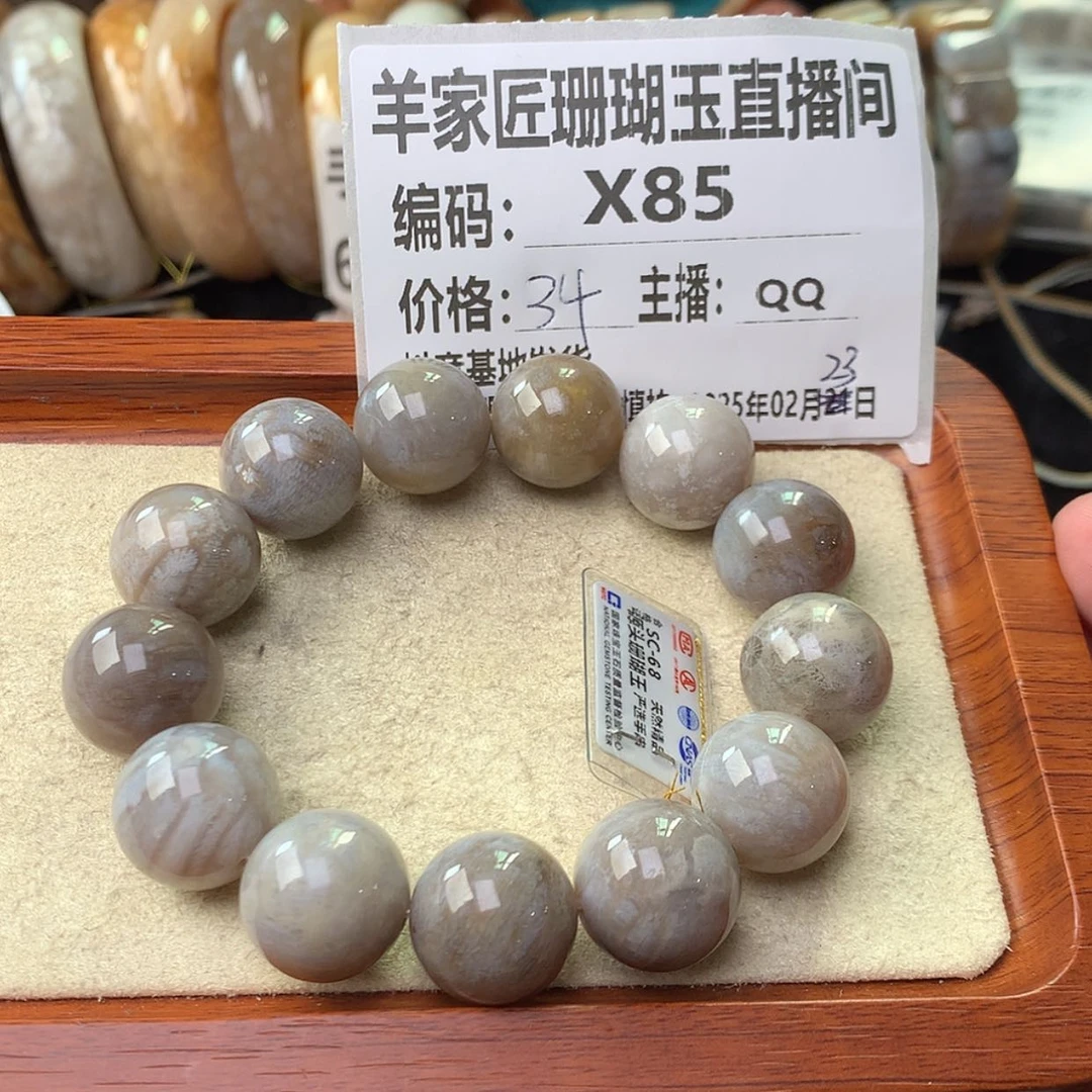 【闪购商品】硅化珊瑚（珊瑚玉）手链未镶嵌素*X85