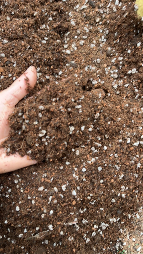 成长型营养土养花泥炭土种九尾狐金妞种法师（约15升用品多肉