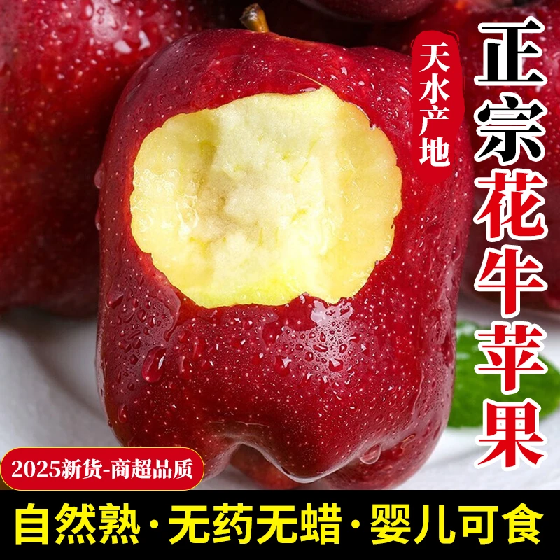 2025甘肃天水花牛苹果婴儿新鲜水果孕妇宝宝辅食整箱粉面甜蛇苹果