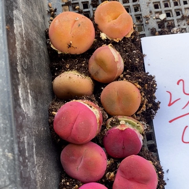 2320一组一组一组