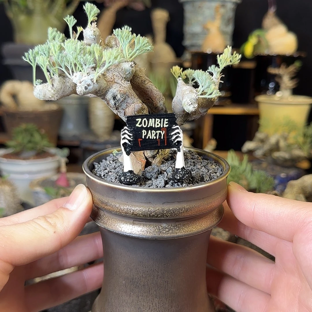 一物一拍黑皮月界580