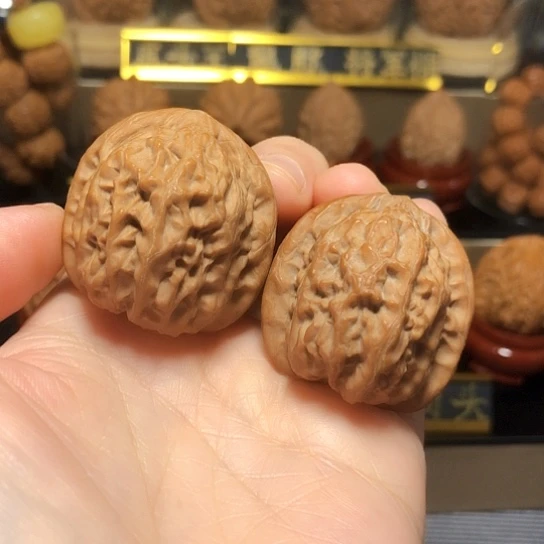 精品野生太行元宝