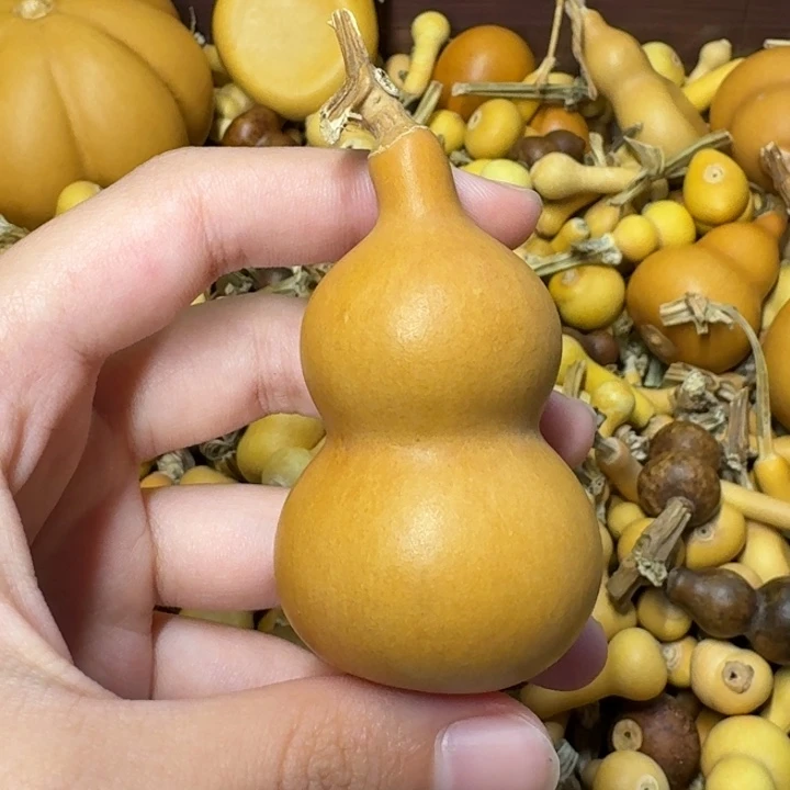 葫芦葫芦葫芦葫芦