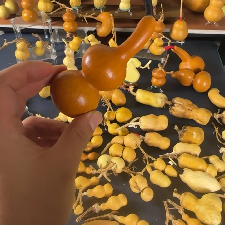 秦***画硅胶是法国和姐姐斤斤计较你家哈哈哈哈