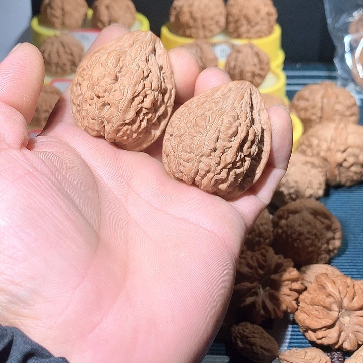 文玩核桃把件鸭嘴树王对43