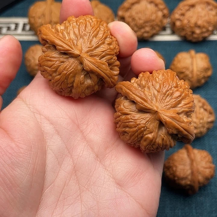 文玩核桃把件全品无修毕业白狮子42.9