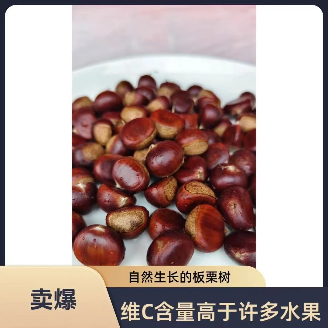 贵州威宁哲觉新鲜生板栗