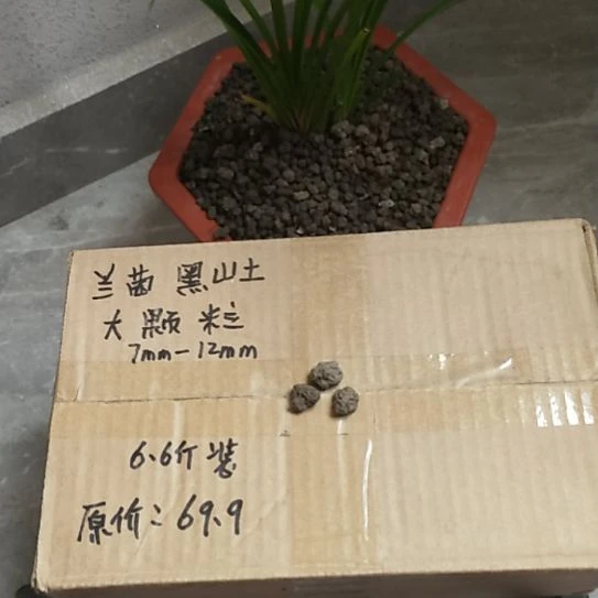 海***影兰菌黑山土大颗粒6.6