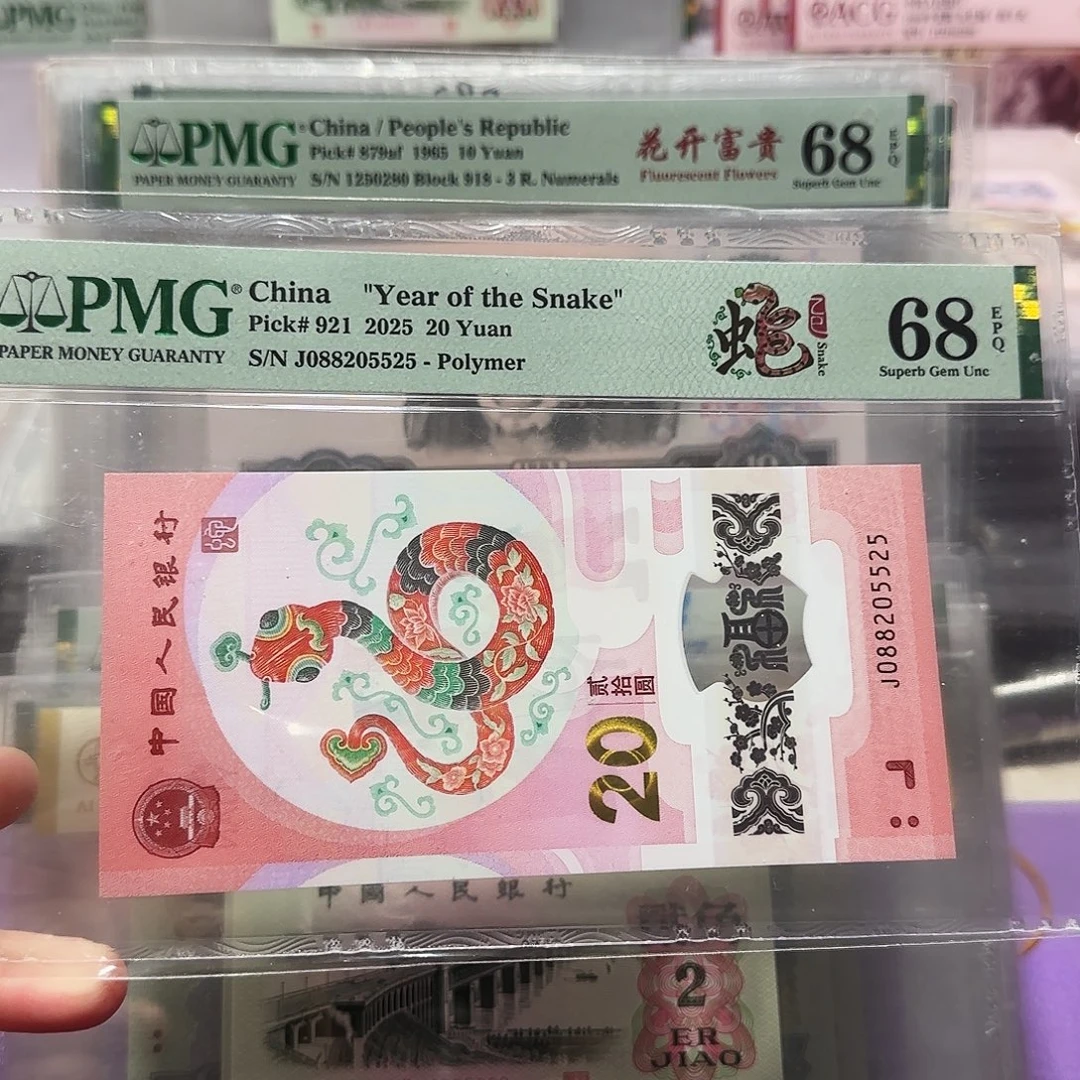 塑料088205525。。。。。龙马王