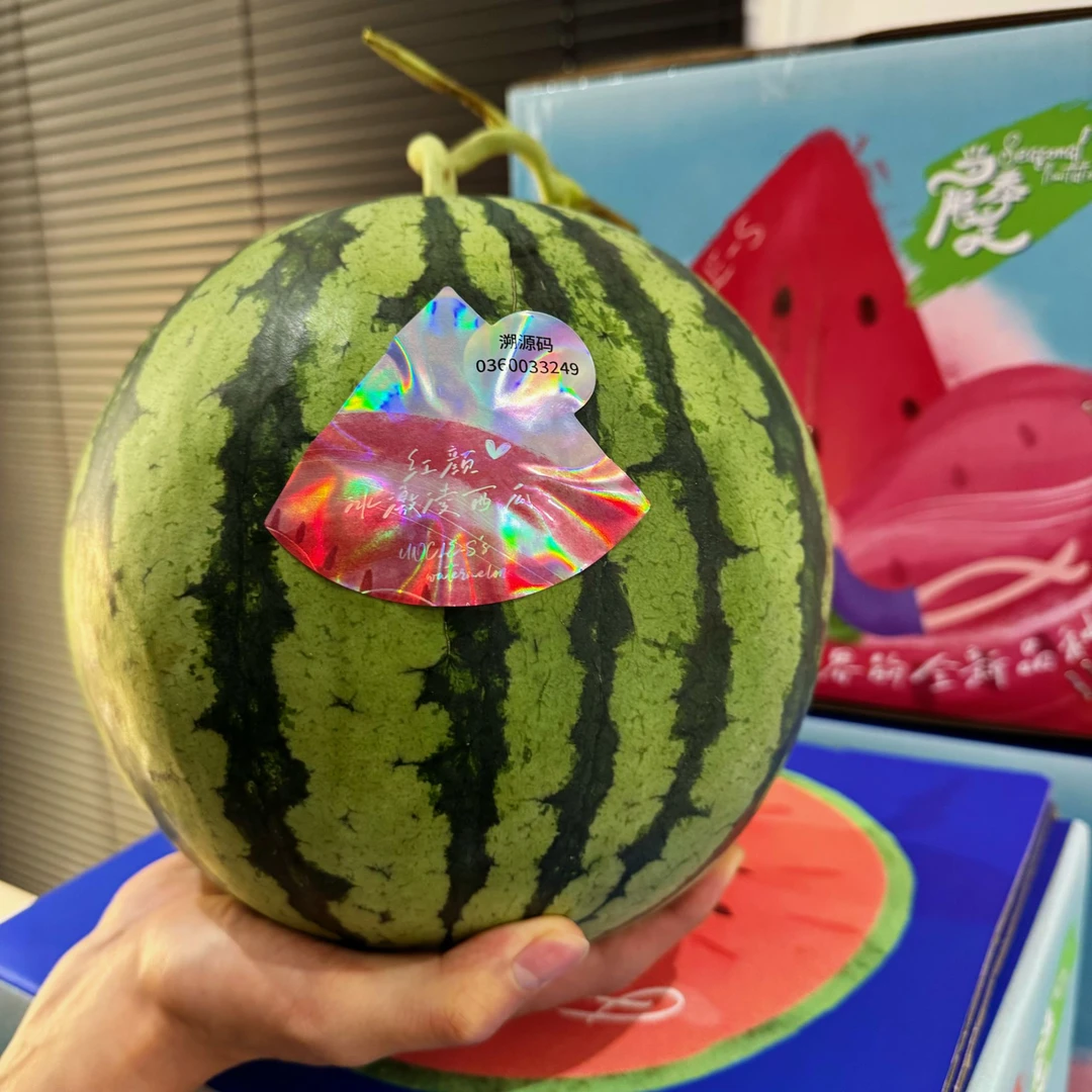 森叔源选 当季限定红颜冰激绫西瓜4-5斤三倍体高甜[顺丰包邮]