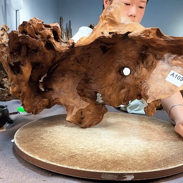 茶盏以***义103株木随行的小根艺