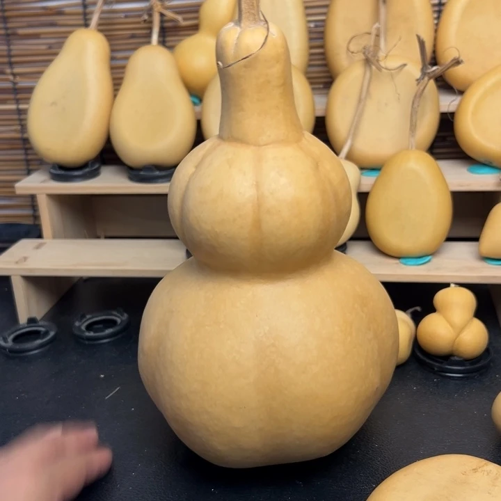 皮****?23669999966999999
