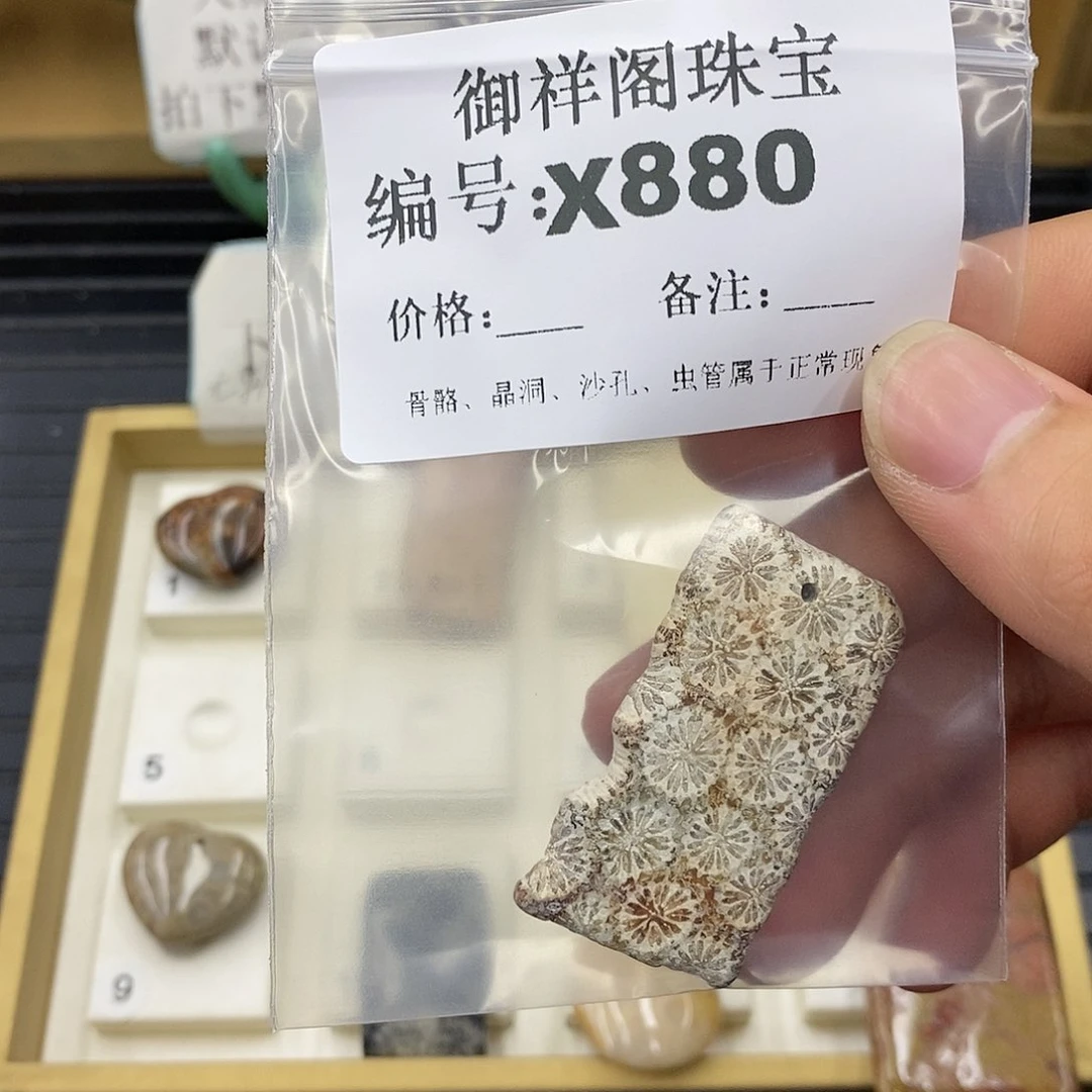 硅化珊瑚（珊瑚玉）未镶嵌颈饰卢*姐