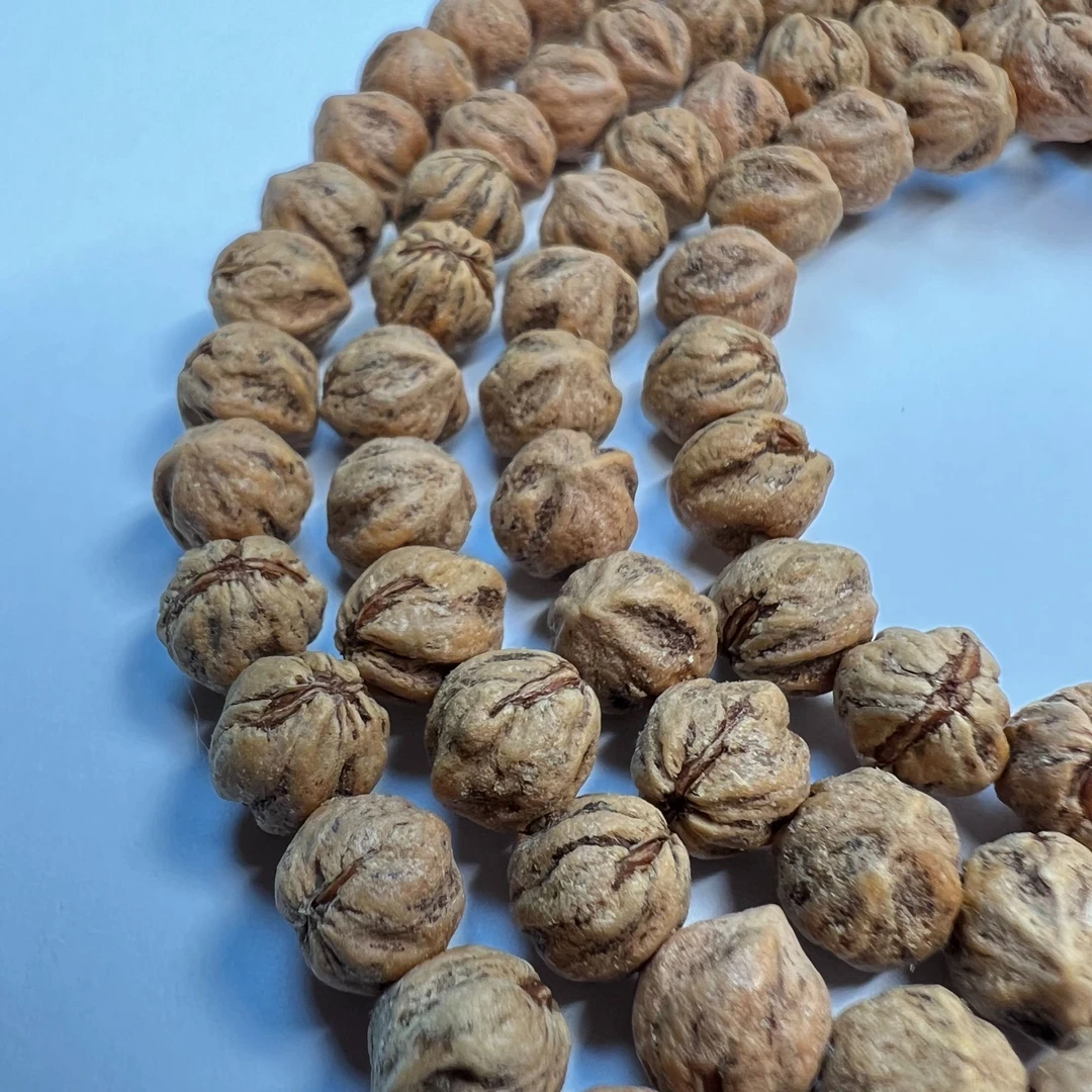 【吞噬】原皮原色原生态热振原桩横打吞噬芽口柏香籽百香籽