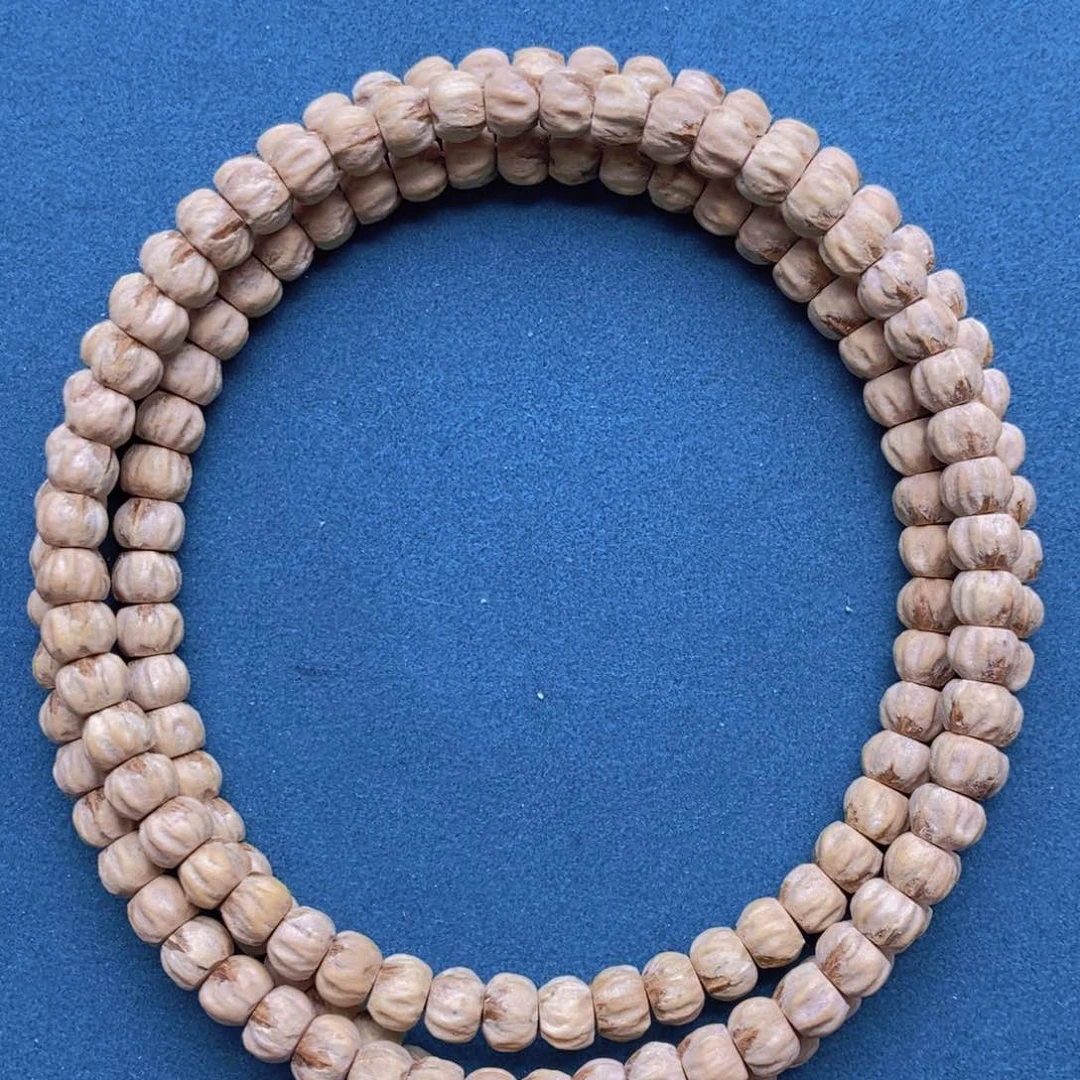 红芽小金豆。。。。。。！！！！