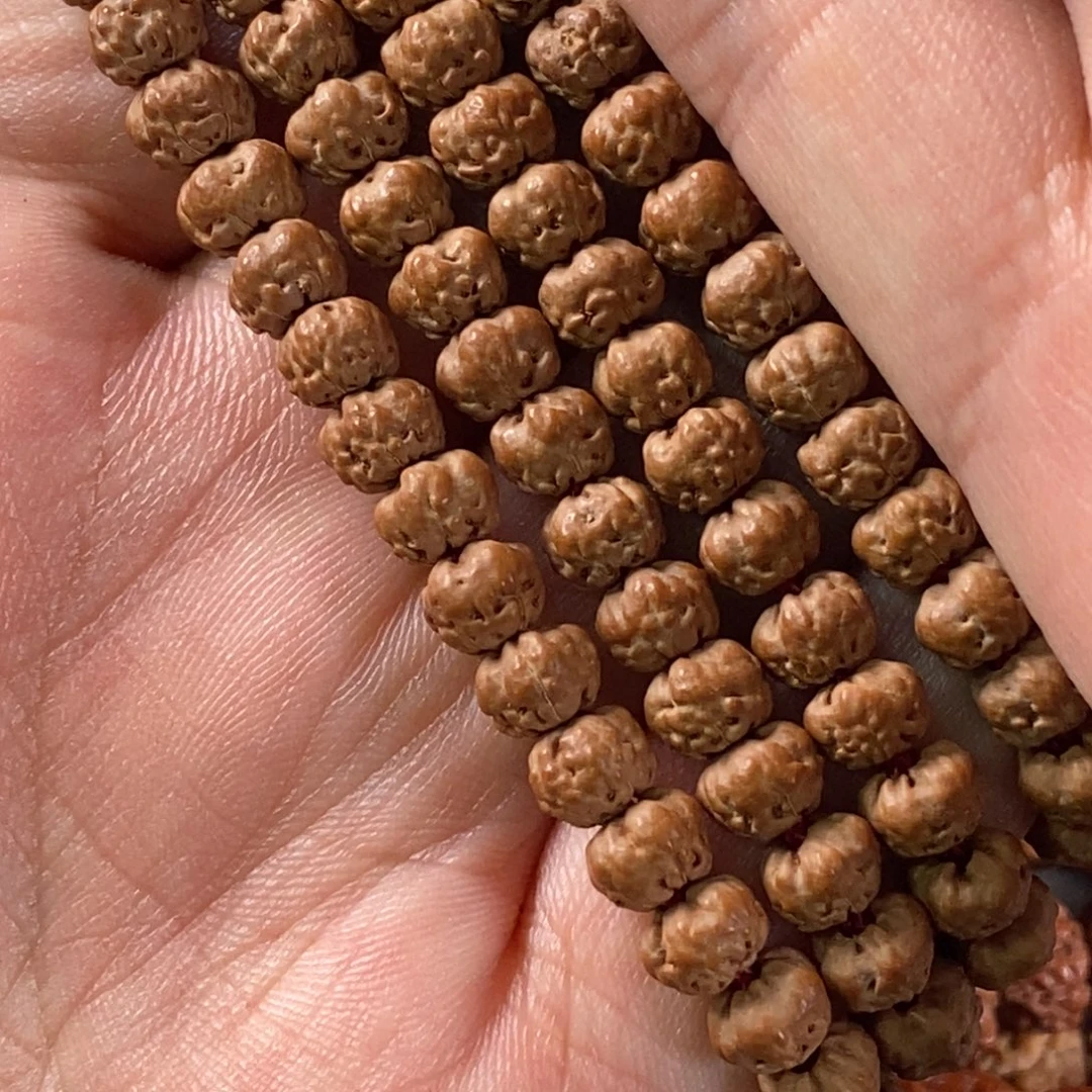 金刚菩提吊坠佛手矮爪五爪金龙