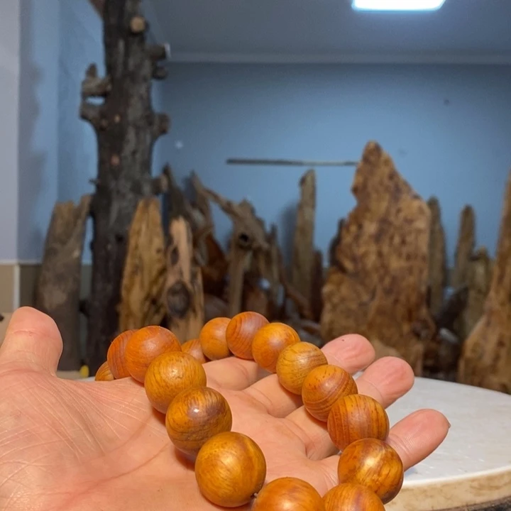 高**家我们都是你的粉丝31