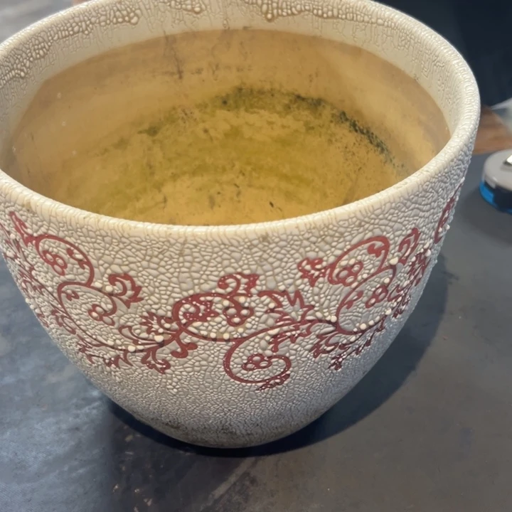 爱***程瓷片拾六家的瓷器瓷器