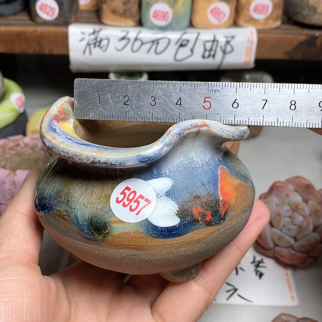 红陶拍5送一个小