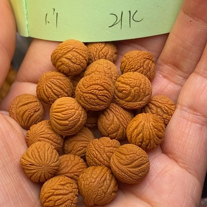 桃核吊坠秦岭龙纹桃核11