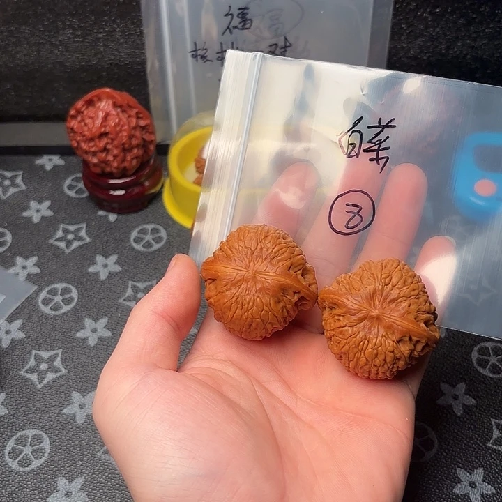 核桃8哈哈哈哈我的天啊